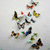 Animated sequence of colorful butterflies fluttering against a light gray background, transitioning to a beach scene with heart-shaped sand art and blue text.