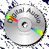 A 4x4 grid of identical silver CD/DVD icons with "Digital Audio" text and rainbow-colored reflections, displayed on a gray transparent background.