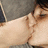 Pixelated image of two people kissing on the left, red background with white text on the right.