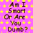 A static image with a bright pink background covered in yellow stars, displaying the text "Am I Smart Or Are You Dumb?" in dark brown pixelated font repeated three times in a