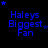 Blue text 'Haleys Biggest Fan' on black background with blue stars, animated star positions across frames.