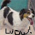 Pixelated image of a dog with white and black fur, brown patches on its head, tongue out, standing against a teal background with text "WOW!" below.