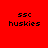 Four quadrants display 'ssc huskies' text in black pixelated font on red, pink, white, and light pink backgrounds.