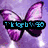 Pixelated butterfly with purple wings and blue text overlay on a purple background, dolphin jumping over water with green text, and dark blue figure with red text.
