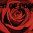 A pixelated red rose with dark outlines, overlaid by partially obscured black text reading "EM OF POP".
