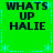 Green background with blue dotted border and star shapes, displaying four identical text blocks reading WHATS UP HALIE in dark blue pixelated font.