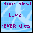 Pixelated blue background with white abstract patterns and purple text reading 'Your first Love NEVER dies' in three lines.
