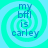 Four identical circular cyan and light blue spiral backgrounds with dark blue text reading "my bffl is carley" arranged in a