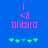 Blue background with pink text and green symbols; two identical static frames show 'i <8 briard' above five pixelated green crosses.