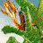 Animated dragon icon with green and gray variants breathing fire across three frames in a 2x2 contact sheet layout.
