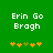 Green background with white pixelated text 'Erin Go Brogh' and five orange/yellow star-like symbols below, two versions of the symbol arrangement differ.