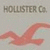 Static image with gray background, dark gray text 'HOLLISTER Co.', and a pinkish-red abstract shape resembling a stylized bird or wing.