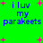 Green background with blue text reading "i luv my parakeets" and pink star shapes scattered across the image.