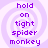Purple text reading 'hold on tight spider monkey' on a light purple spiral background with white swirls.