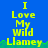 Blue background with yellow text reading "I Love My Wild Llamey" in pixelated font, green grass-like border at bottom, and gray area on right side.