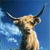 Pixelated image of a giraffe's head and neck against a blue sky with light clouds, showing long curved horns and a patterned coat.