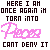 A 4-frame animated contact sheet displaying pixelated text and stylized pink script against a gray background, with each frame showing different segments of lyrics.