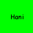 Green background with four yellow bars and black text reading 'Honi' in pixelated font across different positions.