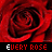Red roses fill the background; text overlays change across frames from 'EVERY ROSE' to 'HAS IT'S' and finally 'THORN'.