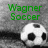 Green text labels and soccer ball icons on grayscale backgrounds with one blank