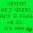Green pixelated text displays 'KERMIT' and 'HE'S GREEN, HE'S GREEN, HE'S A FROGHE'S A FROG' with 'HE IS... MY HERO!' below, featuring a heart symbol.