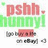 Pixelated image with red 'pshh' text above green 'mummyi' text, a central pink rectangle with dark spots, and gray pixel clusters below on white background.