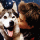 A four- shows a dog, two people in different settings, and one person with hands on head