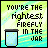 Animated sequence of a jar with fireflies and changing text reading 'YOU'RE THE [adjective] FIREFLY IN THE JAR' on a pixelated background.
