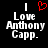 Black background with white pixelated text reading "I Love Anthony Capp." and a red heart symbol above the 'I' in the left frame.