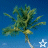 Pixelated tropical scene with palm tree against blue sky, featuring star symbol changes.