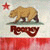 Animated contact sheet of a cartoon bear icon with repeated text elements across multiple frames showing animation changes in background and text.