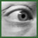 Static grayscale icon of a human eye with detailed shading and anti-aliased edges, framed by green border on white background.