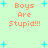 Light green background with cyan plus signs and orange text reading "Boys Are Stupid!!!" in four identical quadrants.