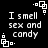Black background with white pixelated text reading 'I smell sex and candy' arranged in a pattern, surrounded by small square-shaped decorative elements