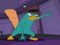 Static cartoon image of a teal platypus-like character wearing a brown fedora, standing in a crouched pose with one arm extended forward and an orange tail visible behind it against a purple background.