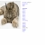 Pixelated brown and beige animal figure with dark eyes, small ears, and a rounded body against light background.