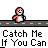 Animated contact sheet of pixel art characters on road backgrounds with repeated text "Catch Me If You Can" across frames.