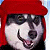 A pixelated buddy icon featuring a husky dog wearing a red cap next to the text "SNOW DOGS" in blocky blue and white lettering.
