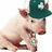 Two pixelated pig figures wearing teal caps with white symbols, one with a chain and the other with bold text overlay.