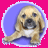 Pixelated dog with light brown fur and dark eyes sits inside a blue circular frame on bright pink background, next to stylized white text.