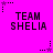 Bright pink background with repeated black text "TEAM SHELIA" and alternating black and purple star icons with dotted lines.