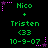 Green text displays 'Nico + Tristan <33 10-9-07' with pink and purple star-shaped pixel decorations on a black background.