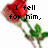 A red rose with green leaves and stem appears in four , each displaying text that forms a sentence about falling for someone