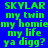 Green pixelated text on blue backgrounds reads SKYLAR my twin my homie my life ya digg? in two distinct color variations.