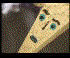 Animated sequence showing a cartoon face with blue eyes and mouth, alternating with a forest background featuring a small figure near a tree.