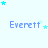 Light blue background with repeated 'Everett' text and scattered cyan stars in a pattern