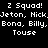Four identical pixelated text arranged in a , each displaying 'Z Squad! Jeton, Nick, Bona, Billy, Touse' with white text on varying background colors
