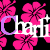 Animated icon with repeating pink hibiscus flowers on black background, white text "Charli" overlaid in pattern with purple accents