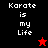 Pixelated text "Karate is my Life" appears in white on black, red, and dark red backgrounds with a red star and black star icon.