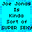 Pixelated text on a cyan background with blue dashed borders, repeating 'Joe Jonas Is Kinda Sort of SUPER SEXY' in two identical vertical